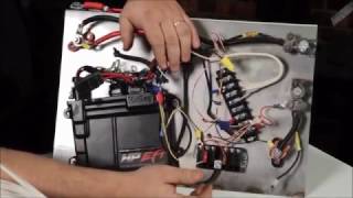 Holley EFI wiring Dos and Donts [upl. by Tattan774]