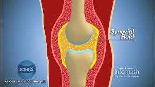 Synovial Fluid [upl. by Greenwood]