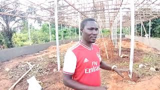 How to Build a 5000 Capacity Poultry House for Broilers [upl. by Otreblasiul]