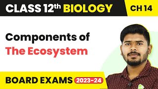 Class 12 Biology Chapter 14  Components of the Ecosystem  Ecosystem 202223 [upl. by Atiuqan485]