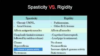 Spasticity vs Rigity amp Decerebrate vs Decorticate [upl. by Tolland]