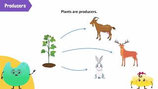 Environment and Difference Between Biotic and Abiotic Components [upl. by Conti886]