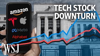 Why Are Tech Stocks Taking Such a Beating  WSJ [upl. by Enilraep]