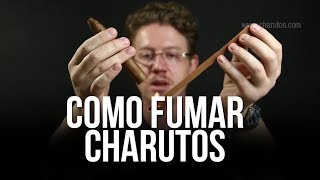 Como Fumar um Charuto  Como Degustar um Charuto  Degustando Charutos [upl. by Nahtanaoj]