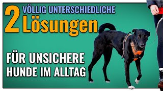 So hilft man unsicheren Hunden  2 völlig unterschiedliche Lösungsmöglichkeiten  TGH 367 [upl. by Atilrac]