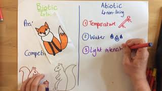 Biotic and Abiotic Factors  p67 [upl. by Hpotsirhc]