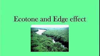 Ecotone and Edge effect  envirocademy [upl. by Silbahc]