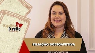 Explica Direito Filiação Socioafetiva  2019 [upl. by Nomelif]