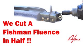 Whats Inside A Fishman Fluence [upl. by Pigeon109]