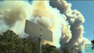 Wildfires at Bastrop State Park Texas 2011 [upl. by Bobbe]