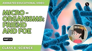 Microorganisms  Friend And Foe  Part 12  NCERT Science Class 8 Chapter 2  English Explanation [upl. by Behm]