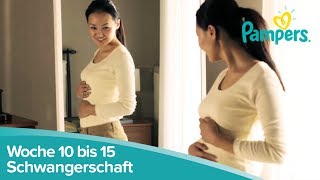 Schwangerschaftswoche 10 bis 15  Anzeichen und Symptome  Pampers [upl. by Ut]