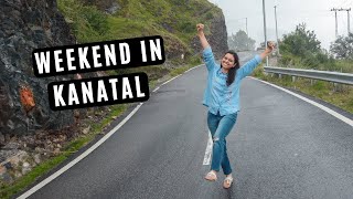 Kanatal Dhanaulti Weekend getaways from Delhi  Places to visit near Mussoorie  Kaudia Forest Walk [upl. by Ataga]