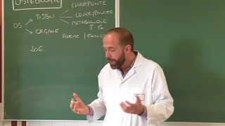 Anatomie générale 1  Cours dostéologie générale [upl. by Essam]