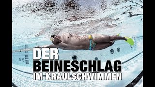 Kraulschwimmen Warum Beineschwimm Sets wichtig sind  SWIMAZING UNIVERSITY [upl. by Terej]