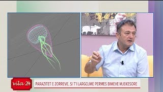 Ylli Merja Parazitët në zorrë përbërësi që i largon brenda javës [upl. by Kcirdneked89]