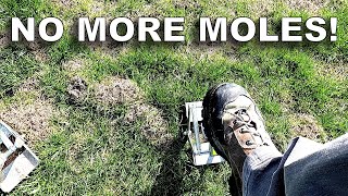 Howto Eliminate Moles Wire Tek EasySet Mole Eliminator [upl. by O'Mahony112]