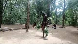 Kirikoraha Vedda Dance කිරිකොරහ නැටුම [upl. by Anorahs]