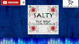 SALTY  TIC TOC audio [upl. by Tabb129]