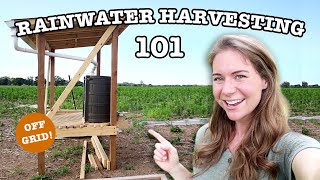 RAINWATER COLLECTION FOR BEGINNERS  16 Things To Know About Harvesting Rain Water BEFORE You Start [upl. by Mccreery]