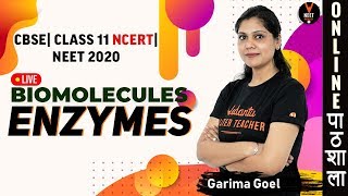 Enzymes  Biomolecules  Class 11 Biology Chapter 9  NEET 2020  NEET Biology  by Garima Goel [upl. by Emma430]