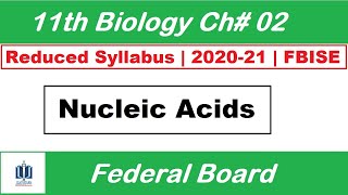 Nucleic Acids Class 11 Biology Chapter 2 Biological Molecules Ilmi Stars Academy [upl. by Hollister]