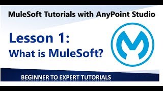 Lesson 1  What is MuleSoft What is AnyPoint [upl. by Odrawde827]