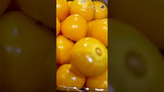 A rare Golden Berries Fruit [upl. by Dumanian]