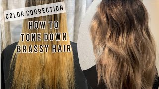 COLOR CORRECTION  Toning Down BRASSY Hair  Tips For FORMULATING [upl. by Bain]