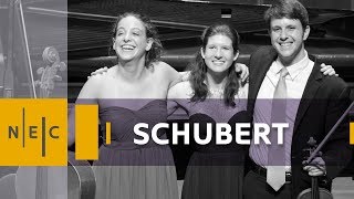 Schubert Piano Trio in Eflat major Op 100 [upl. by Amarillis]