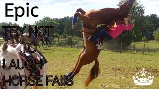 Try not to laugh  horse fails [upl. by Richards]