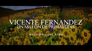 Vicente Fernández  Un Millón de Primaveras LETRA [upl. by Rosemarie]