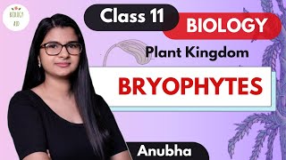 Class 11  Bryophytes Plant Kingdom  NCERT [upl. by Analise]