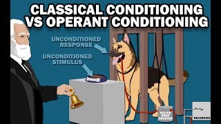 CLASSICAL VS OPERANT CONDITIONING [upl. by Ennayd791]