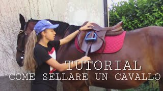 TUTORIAL COME SELLARE UN CAVALLO  Sara Aventino [upl. by Danya597]