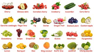 Fruit Names in English [upl. by Annalla]