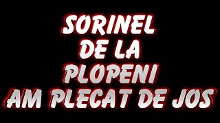 SORINEL DE LA PLOPENI AM PLECAT DE JOS 2014 [upl. by Josey]