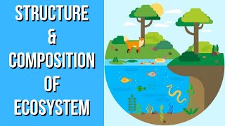 Structure amp Composition of Ecosystem  Environmental Science  EVS  Letstute [upl. by Adnomal]