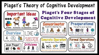 Piaget Theory of Cognitive Development [upl. by Leanahtan]