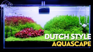 Dutch Style Aquascape  Planted Aquarium [upl. by Brotherson637]