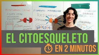 El Citoesqueleto en 2 Minutos [upl. by Atsira377]