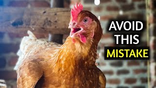 AVOID This Big MISTAKE When Building a Chicken House [upl. by Leirvag569]