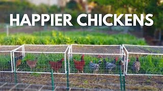 The Beginners Guide to Small Scale Backyard Pastured Poultry [upl. by Essirahc]