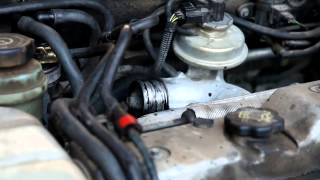 Ford Focus 18 TDDI EGR Cleaning with spraypulizia valvola egr [upl. by Arni]