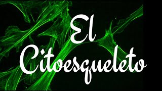 EL CITOESQUELETO [upl. by Mignon]