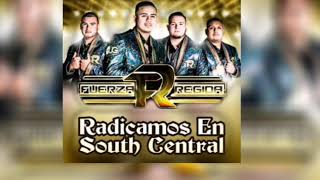 Radicamos en South Central  Fuerza Regida [upl. by Hawkins]