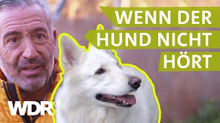 Dem Hund konsequent Grenzen aufzeigen  Hunde verstehen  S03E03  WDR [upl. by Rodablas937]