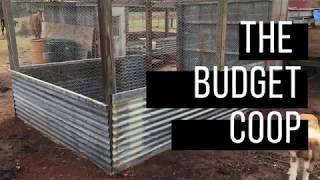 Building a budget chicken coop [upl. by Jonas441]