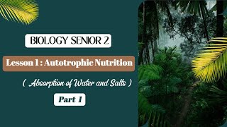 Biology  Senior 2  Chapter 1  Lesson 1 part 1  Autotrophic Nutrition [upl. by Weslee]