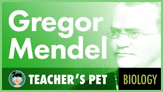 Gregor Mendel [upl. by Trevah]